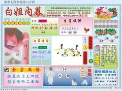 白小姐内幕A